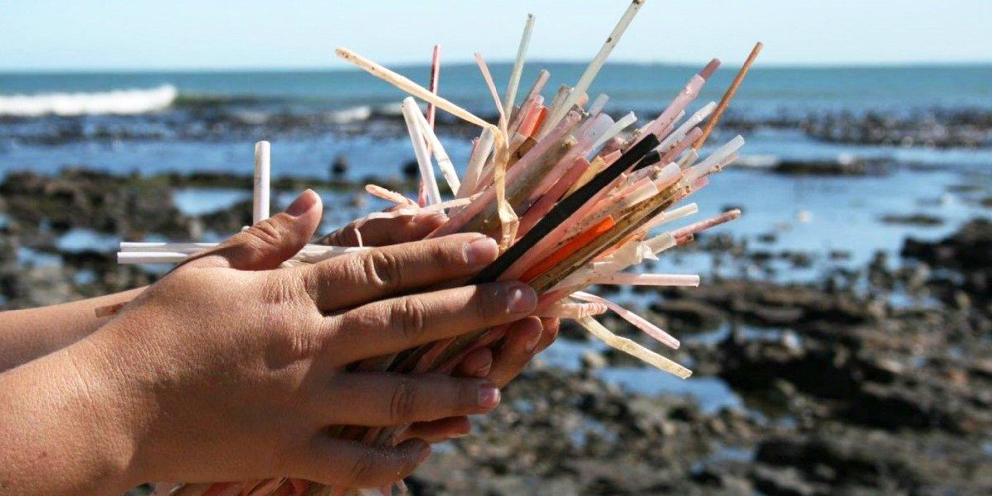 In the USA roughly 500 million plastic straws are used every day